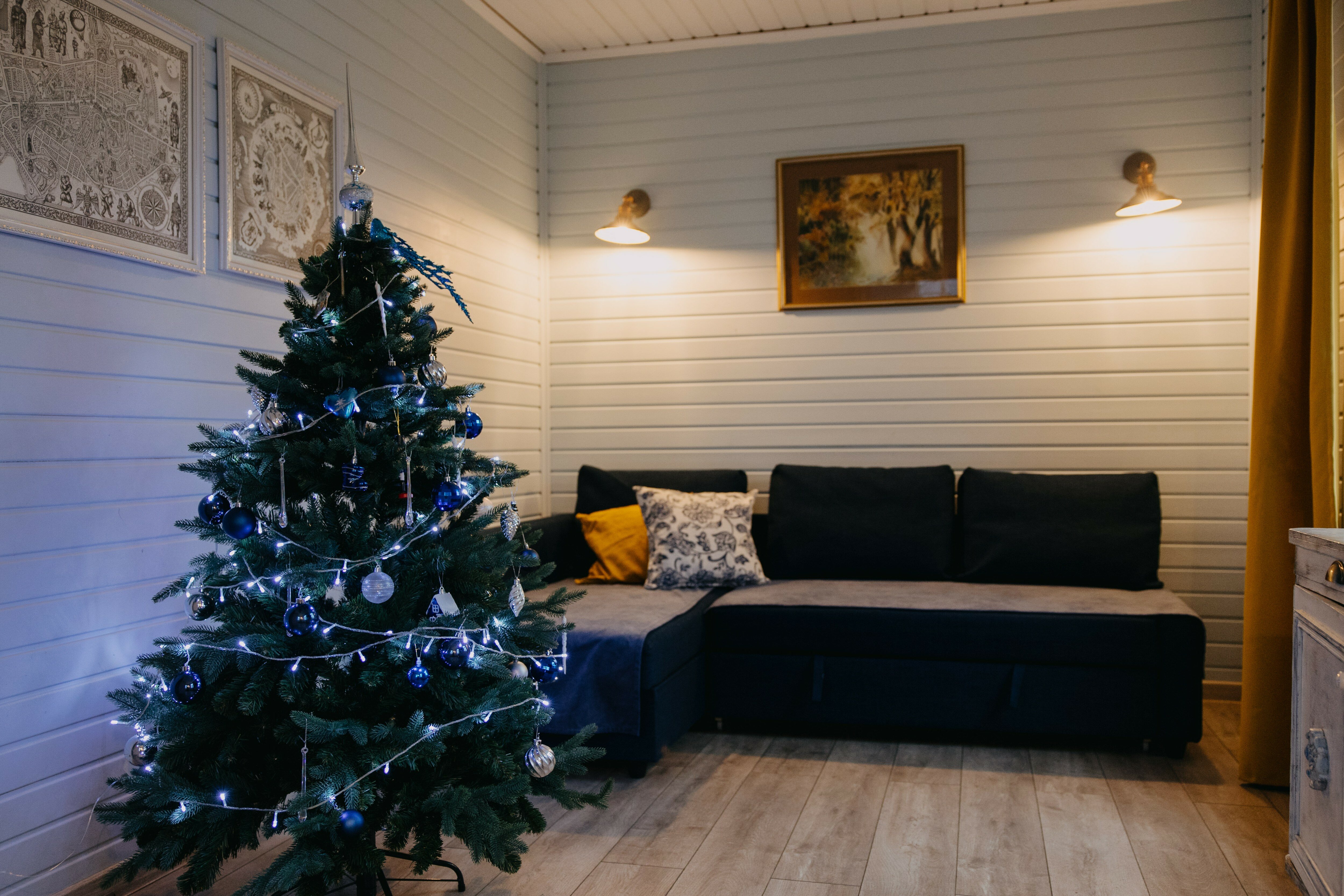 Фото Синяя синица