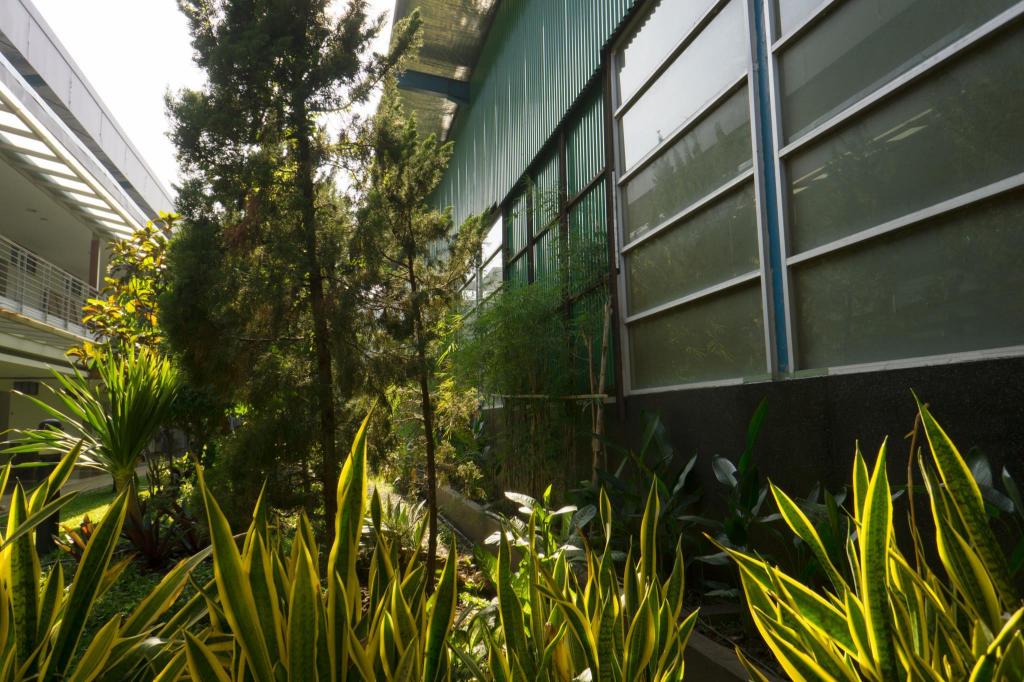 Фото Hotel Asri Plaza Asia Tasikmalaya