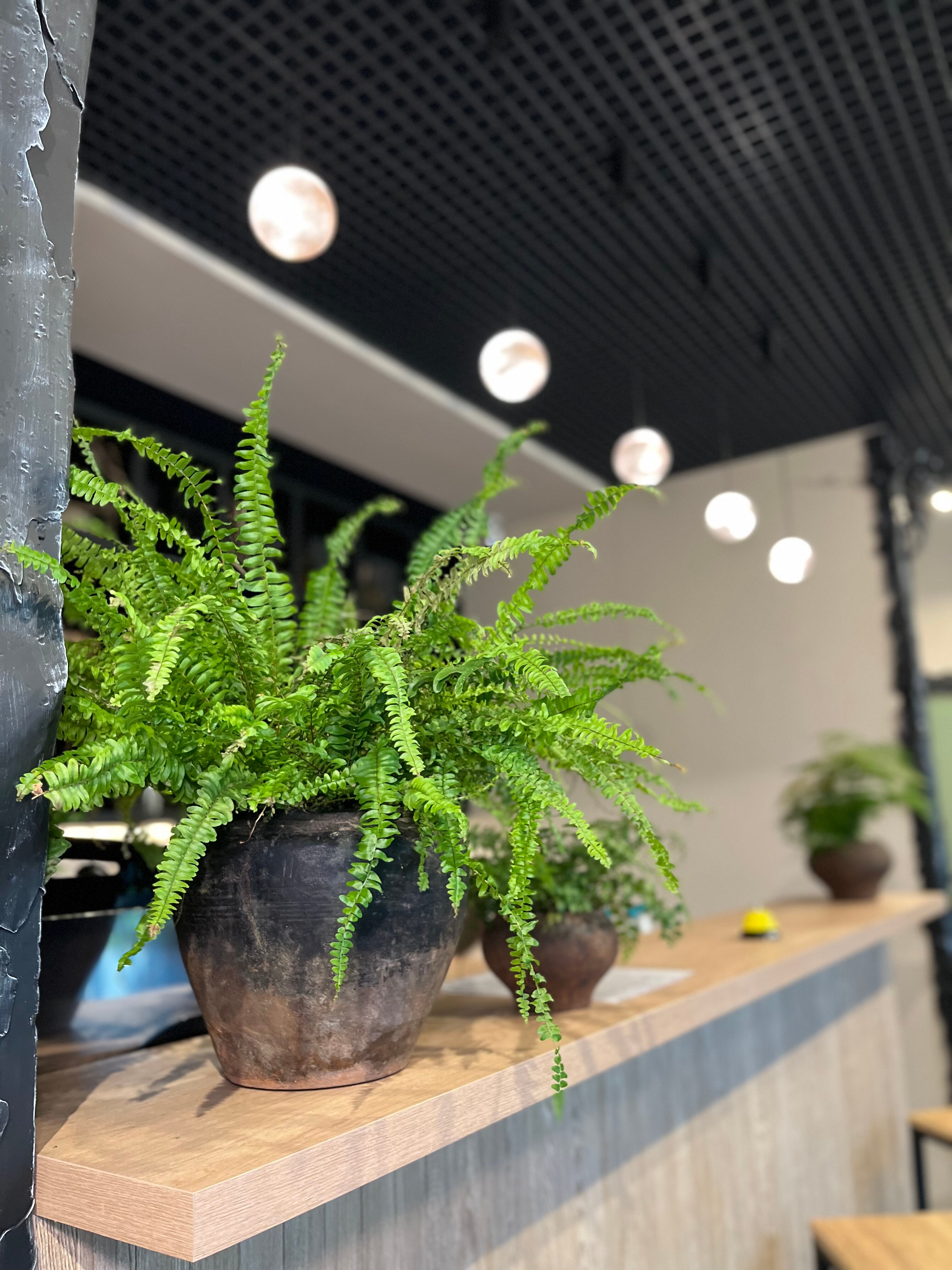 Фото Никольский Стан