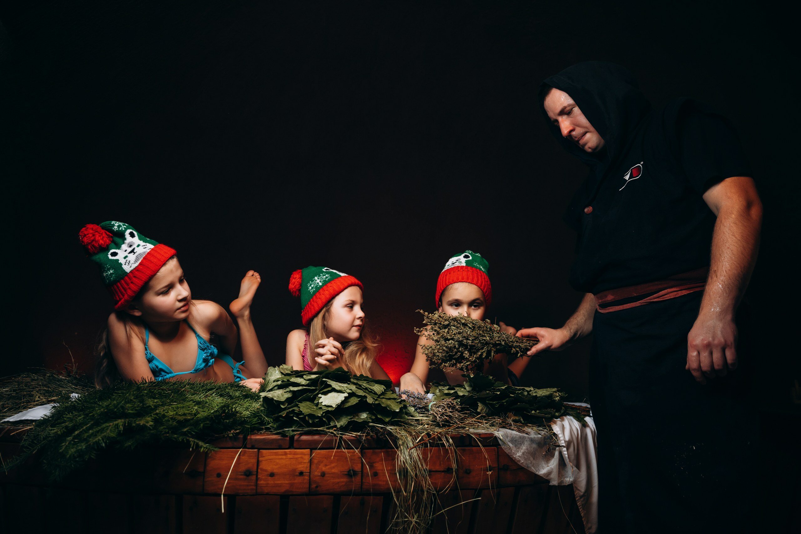 Фото Гуси-Лебеди