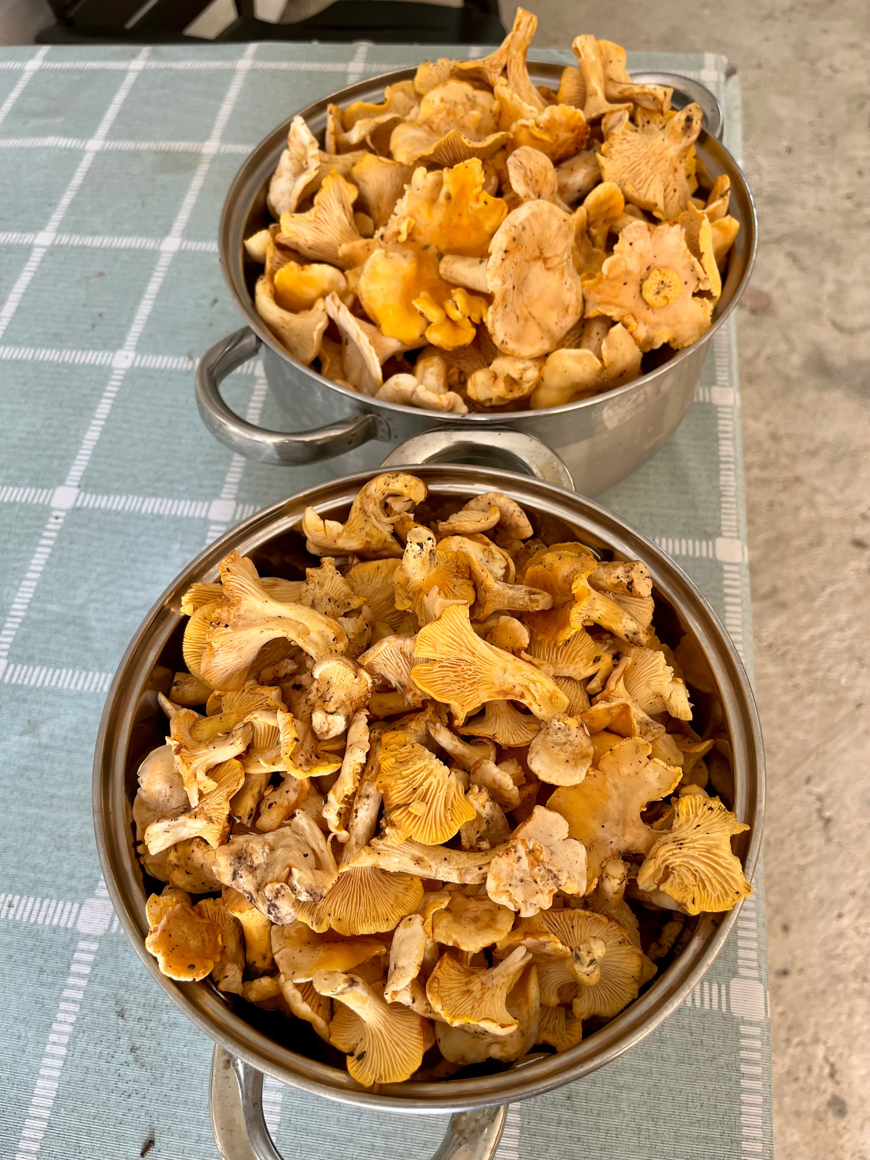 Фото Ремарка