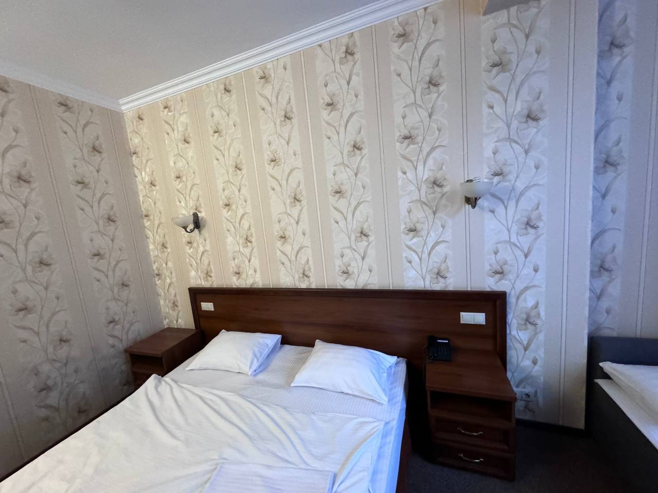 Фото Аврора