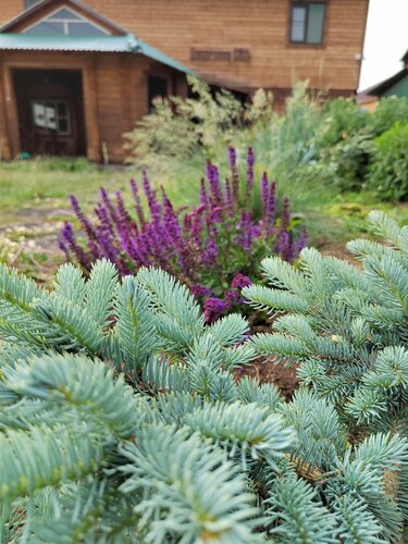 Дом отдыха Семейный в Горячинске