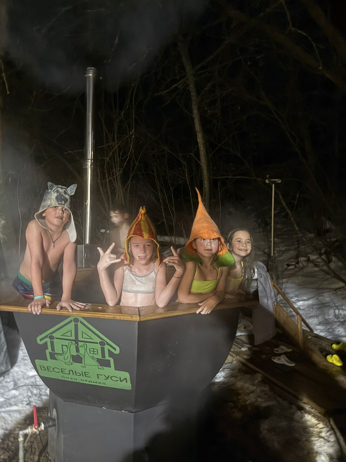 Фото Веселые гуси