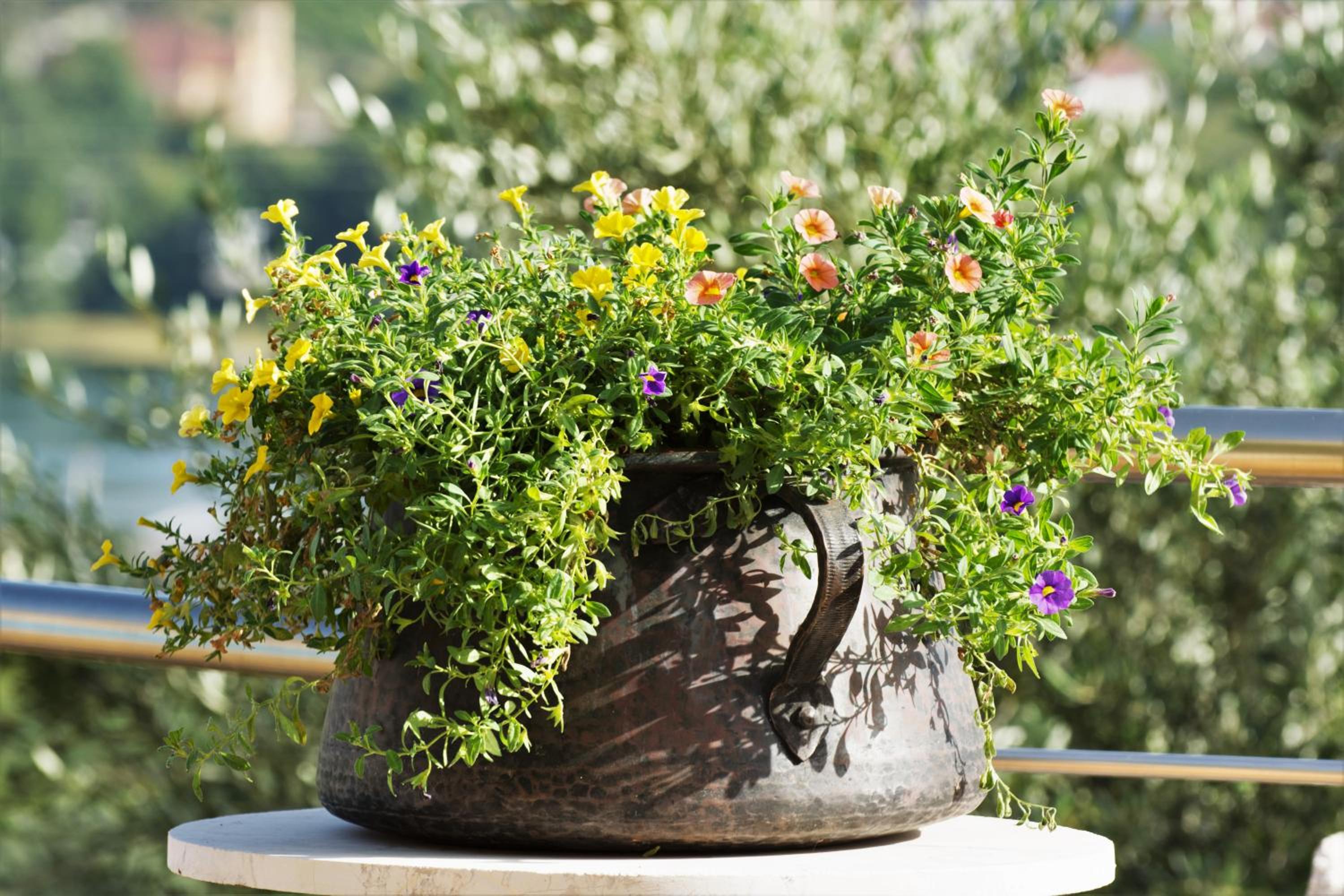 Фото Αksos Suites Accessible Accommodation