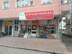 Cavusunoglu Boiler Technical Service (Ankara Province, Sincan District, Tandoğan Mah., 155. Cad., 14A), reparación de equipos eléctricos