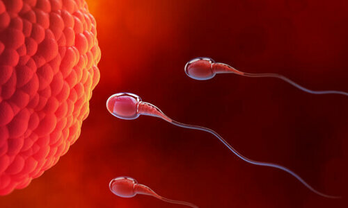 Private practice doctors Op. Dr. Cem Akarsu, Ankara, photo