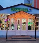 Цветочный магазин Ромашка (posyolok gorodskogo tipa Anna, Lenina Street, 29А), floristeria