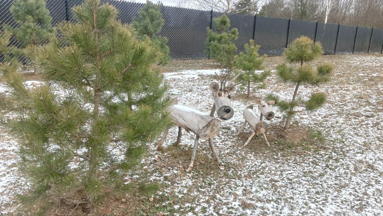 Фото Сканди куб