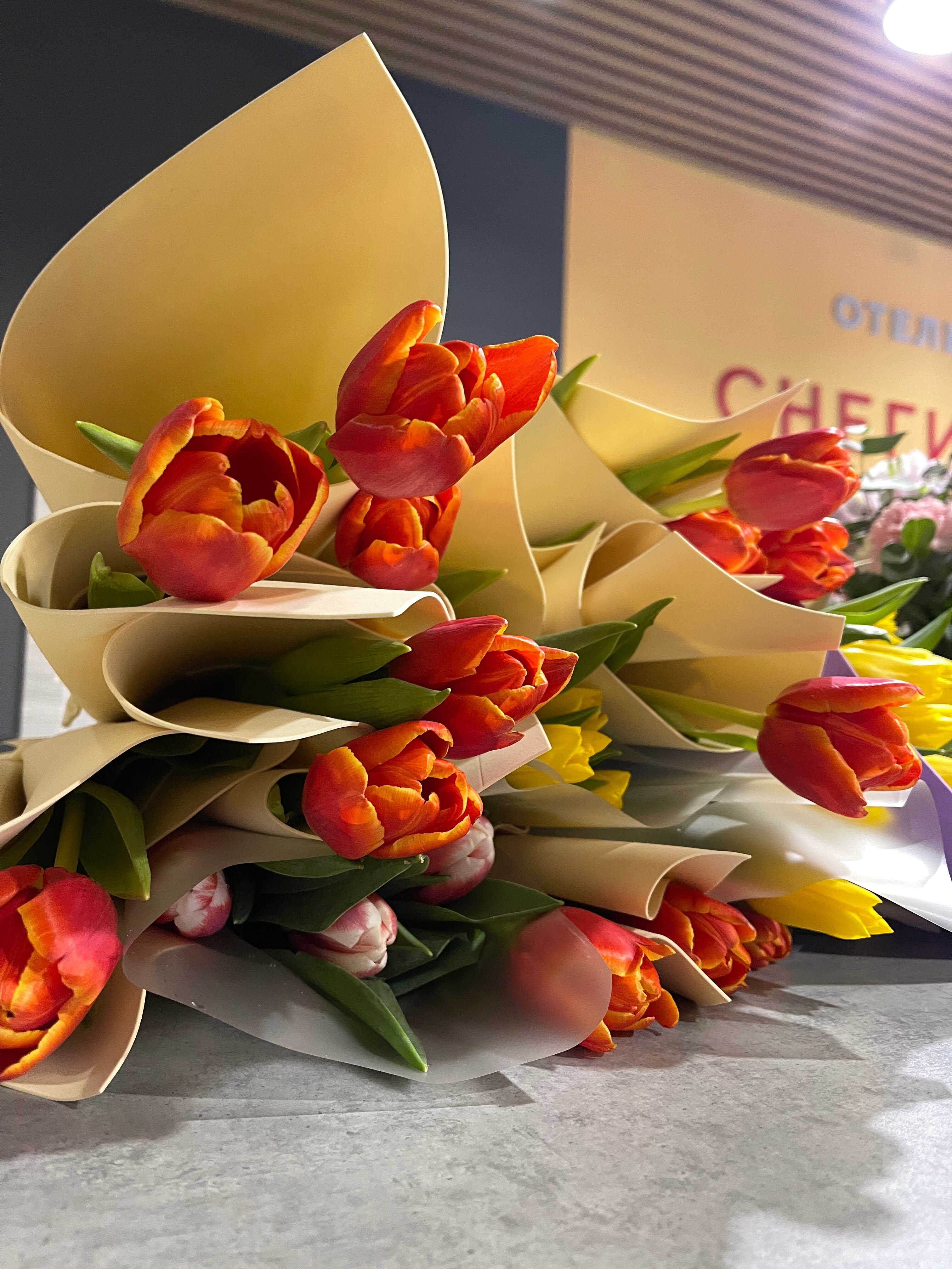 Фото Снегири