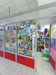 Stationery Store (Abylai Khan Avenue, 34), stationery store