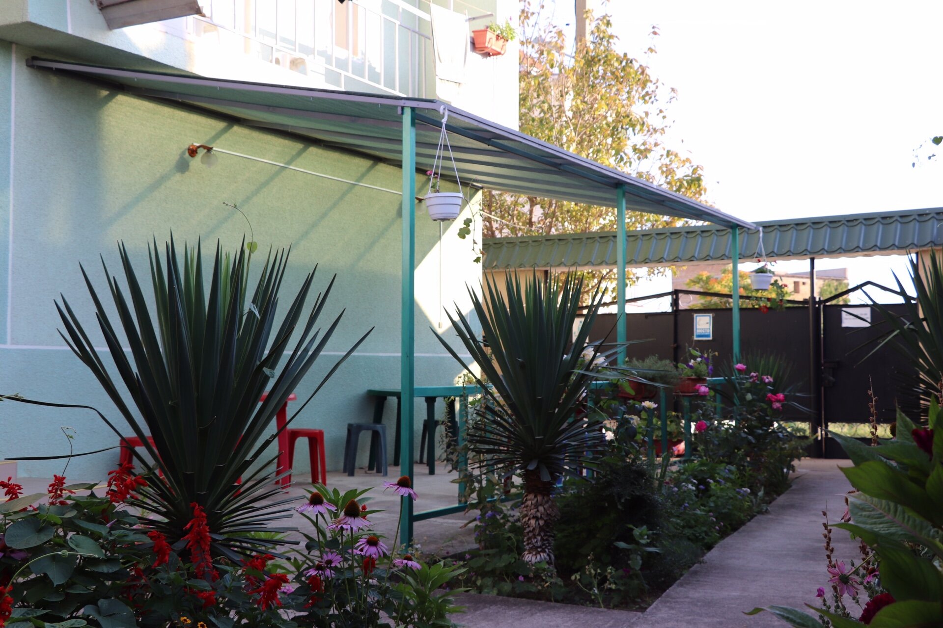 Фото Изумрудный