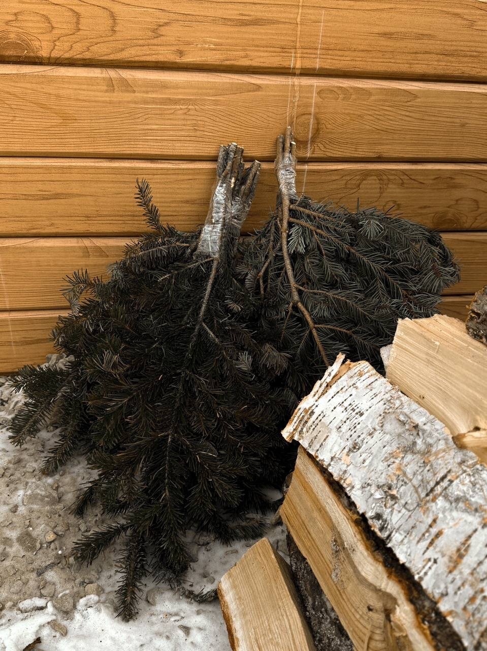 Фото Деревня Романовых