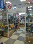 Магазин игрушек (Gagarina Street, 37В), toys and games