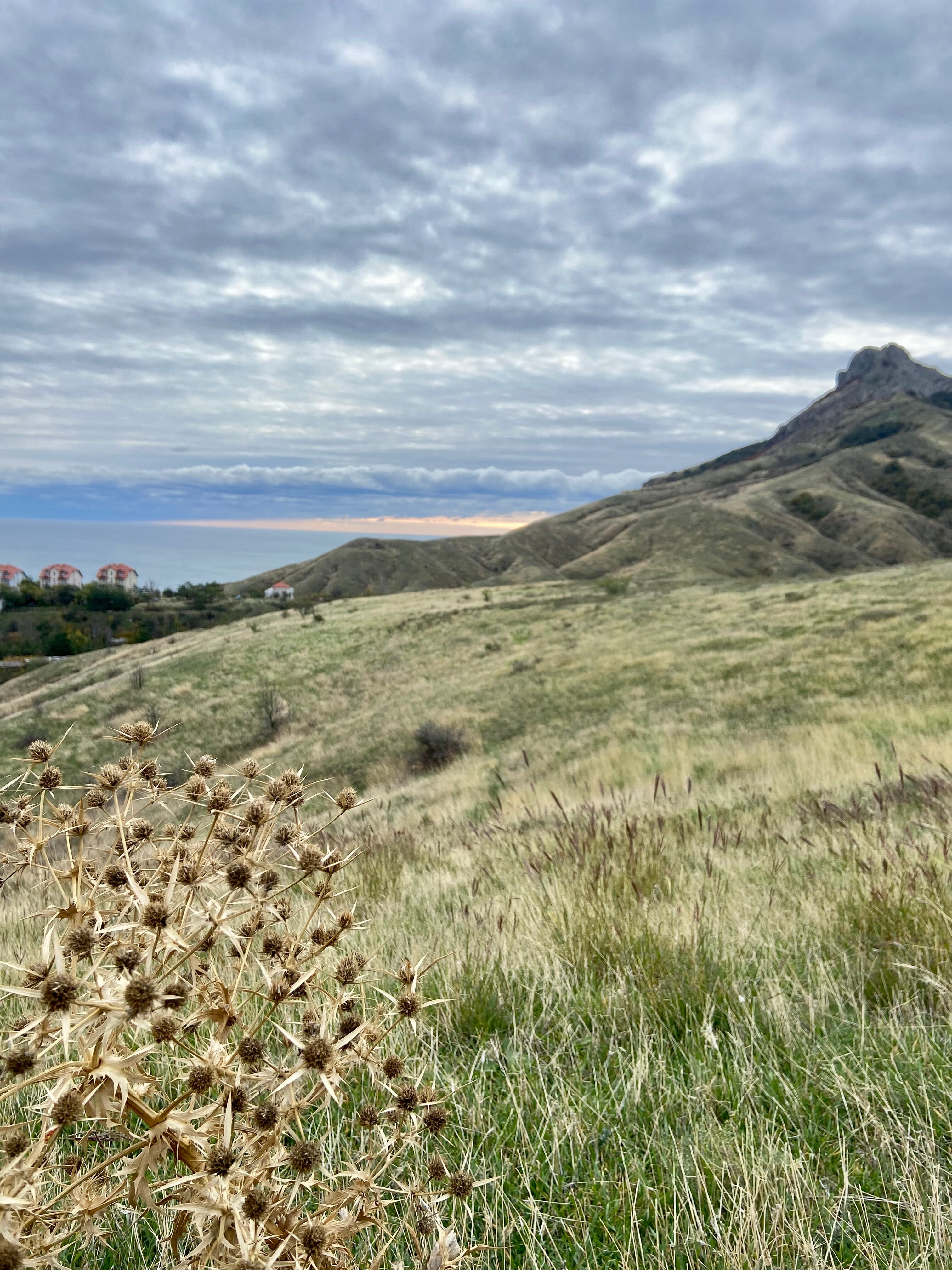 Фото Каллиера