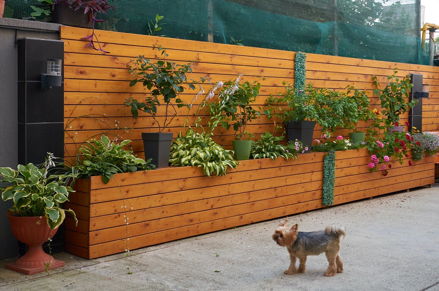 Фото Адлердомик