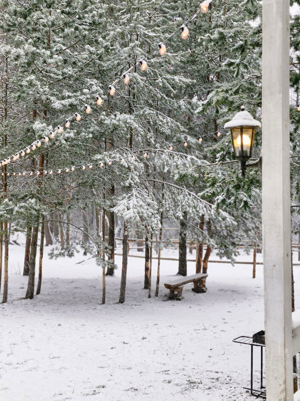 Фото Дикое подворье