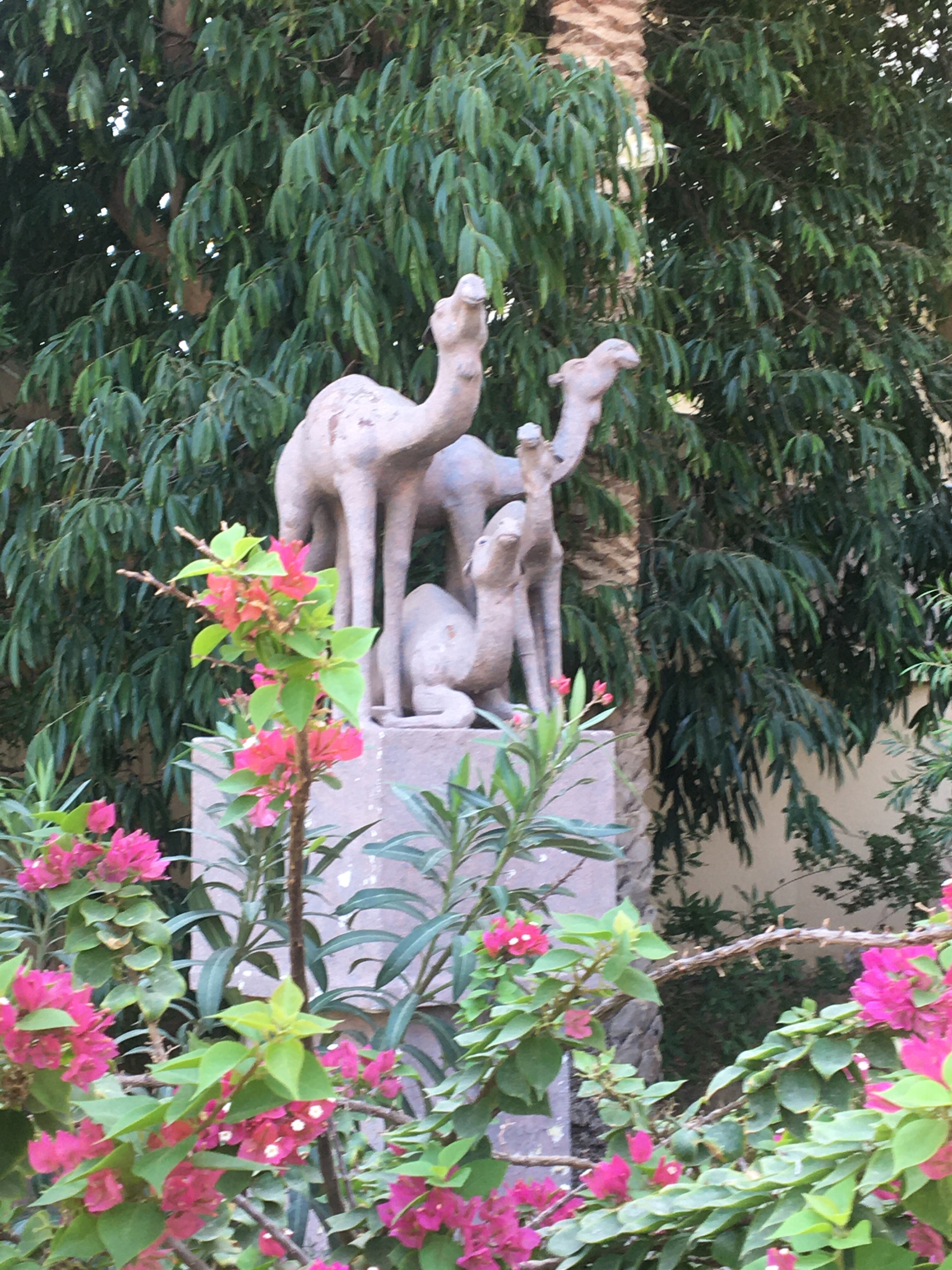 Фото Sindbad Club