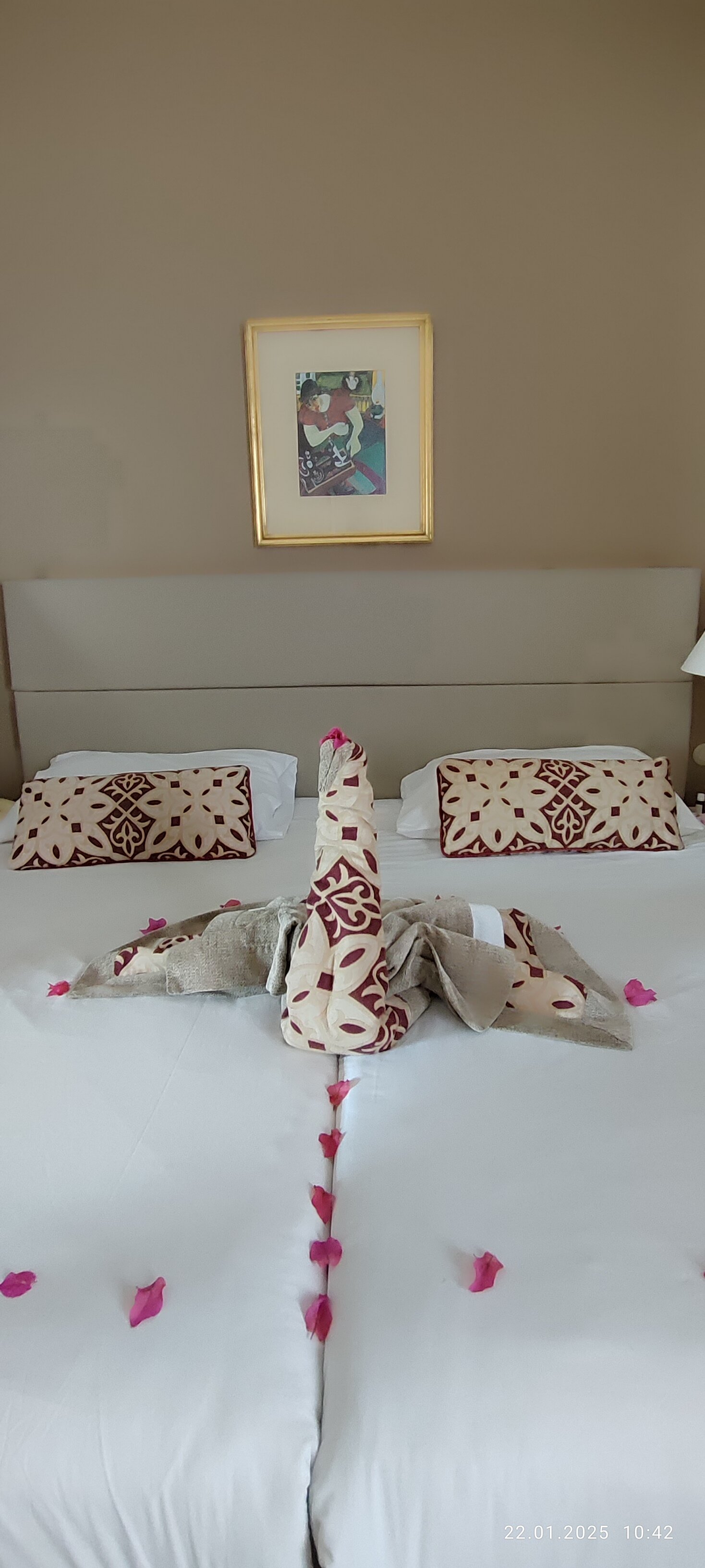 Фото Джаз Макади Сарайя Палмс