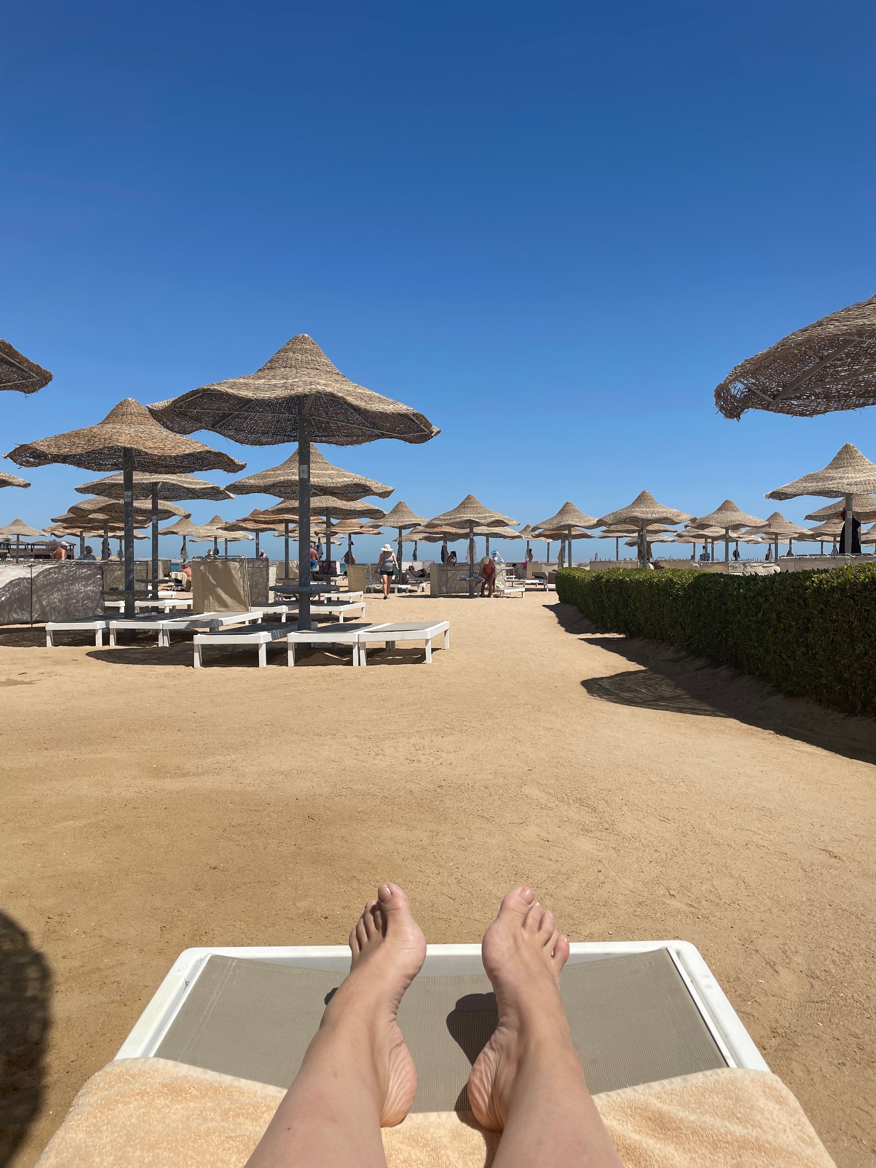 Фото Sunrise Mamlouk Palace Resort