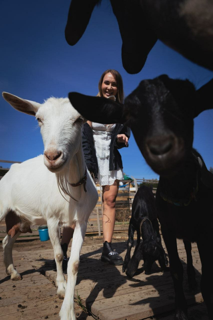 Фото Семейная мини-ферма Фазенда