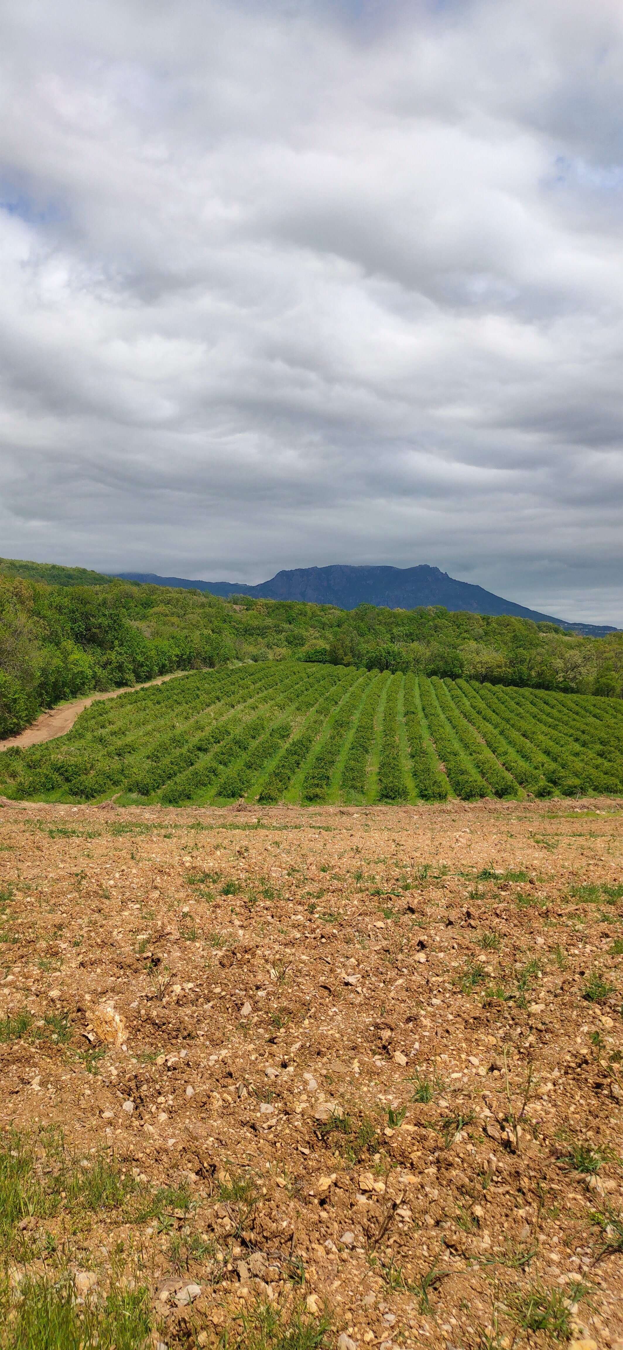 Фото Купольный домик в горах Крыма
