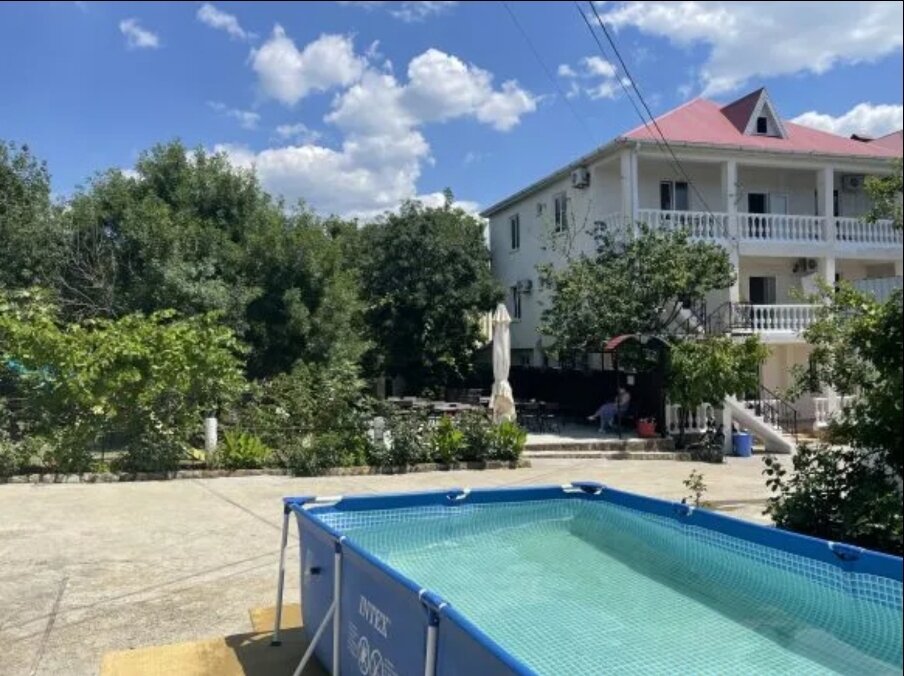 Фото Дружба