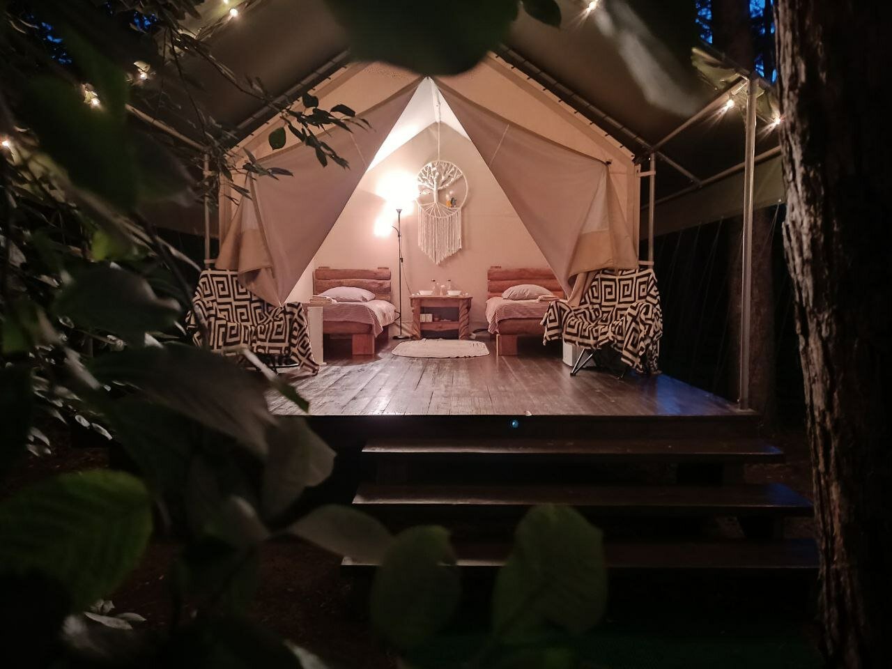 Фото Лесная семья