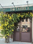 Botanika (Moskovskaya Street, 5) ، مقهى