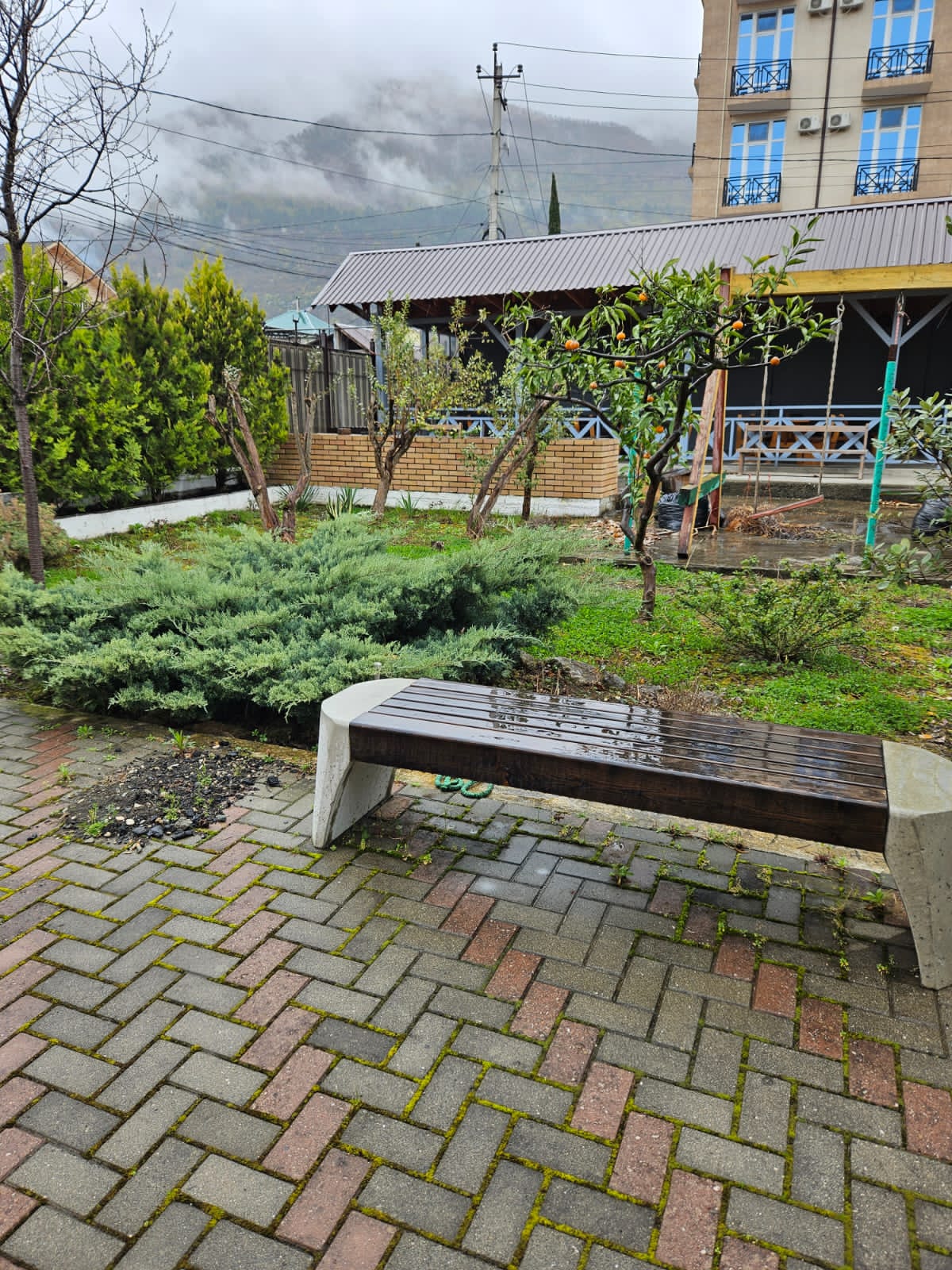 Фото Акварель