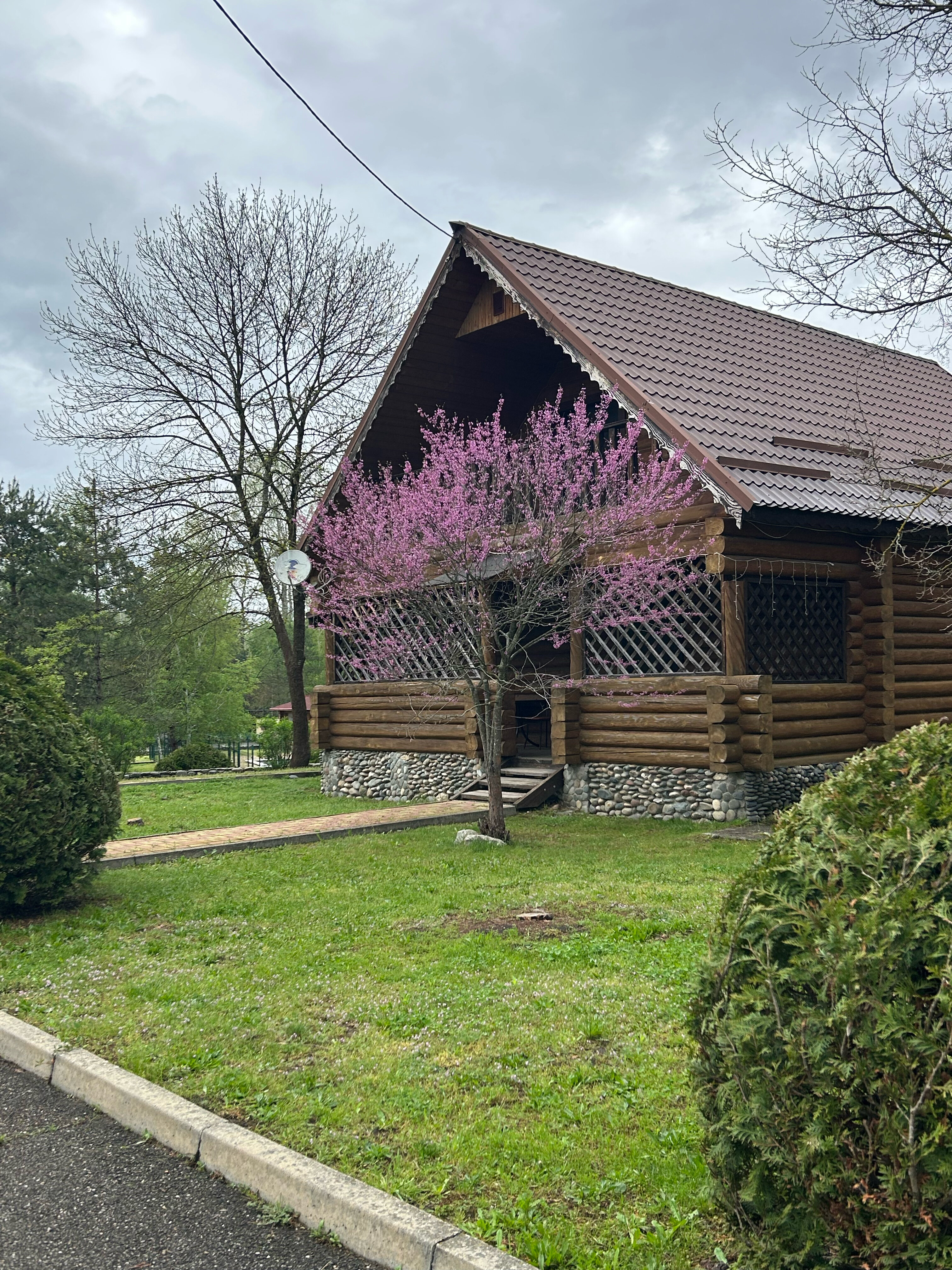 Фото Лукоморье