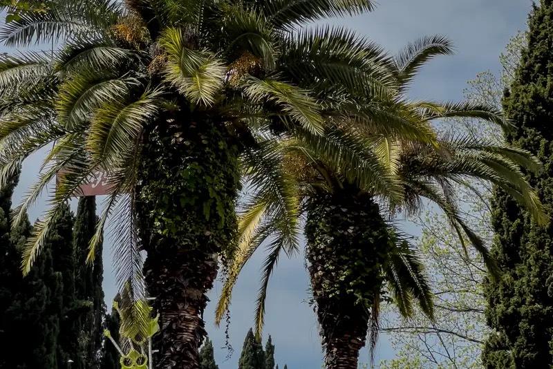 Фото Гостевой дом