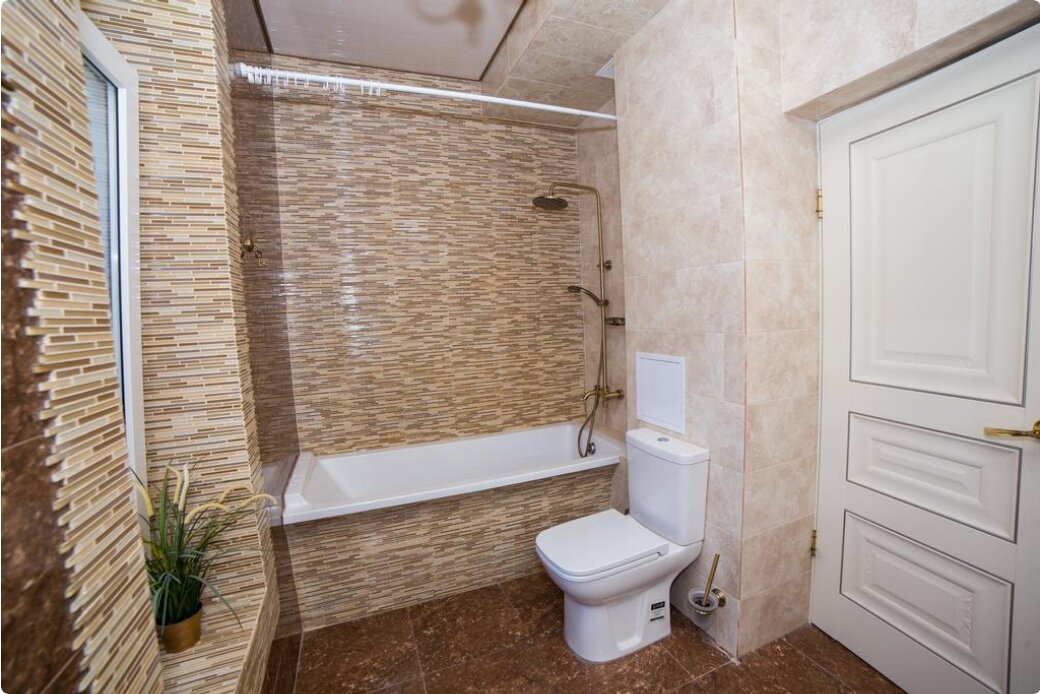 Фото Спутник