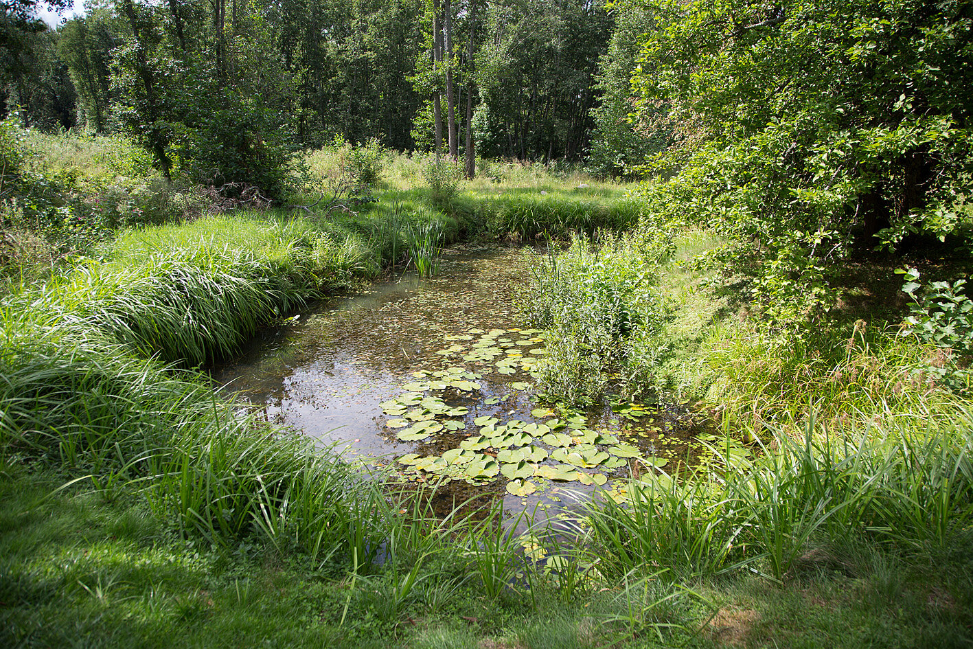 Фото Бугрово