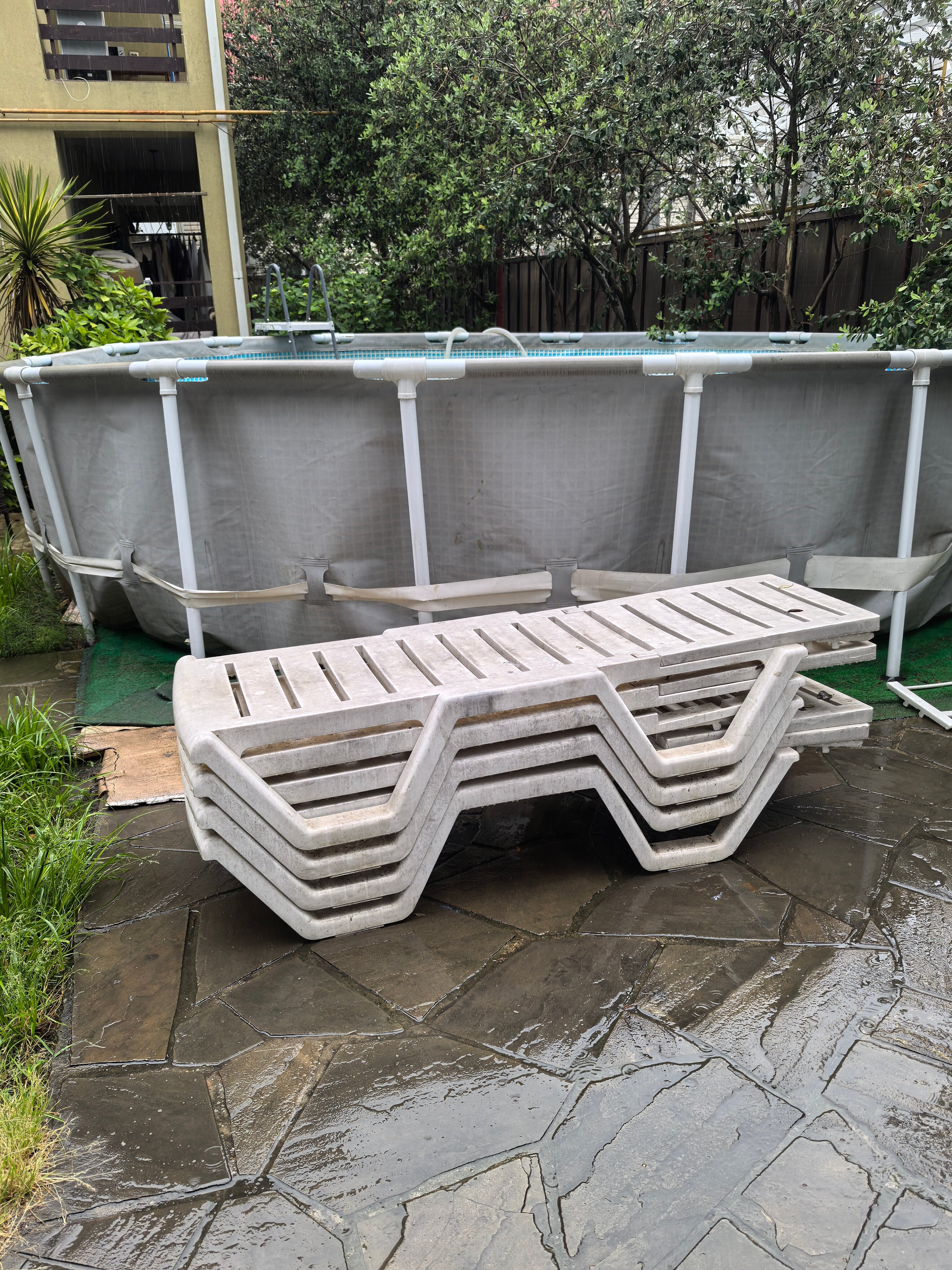 Фото Орхидея