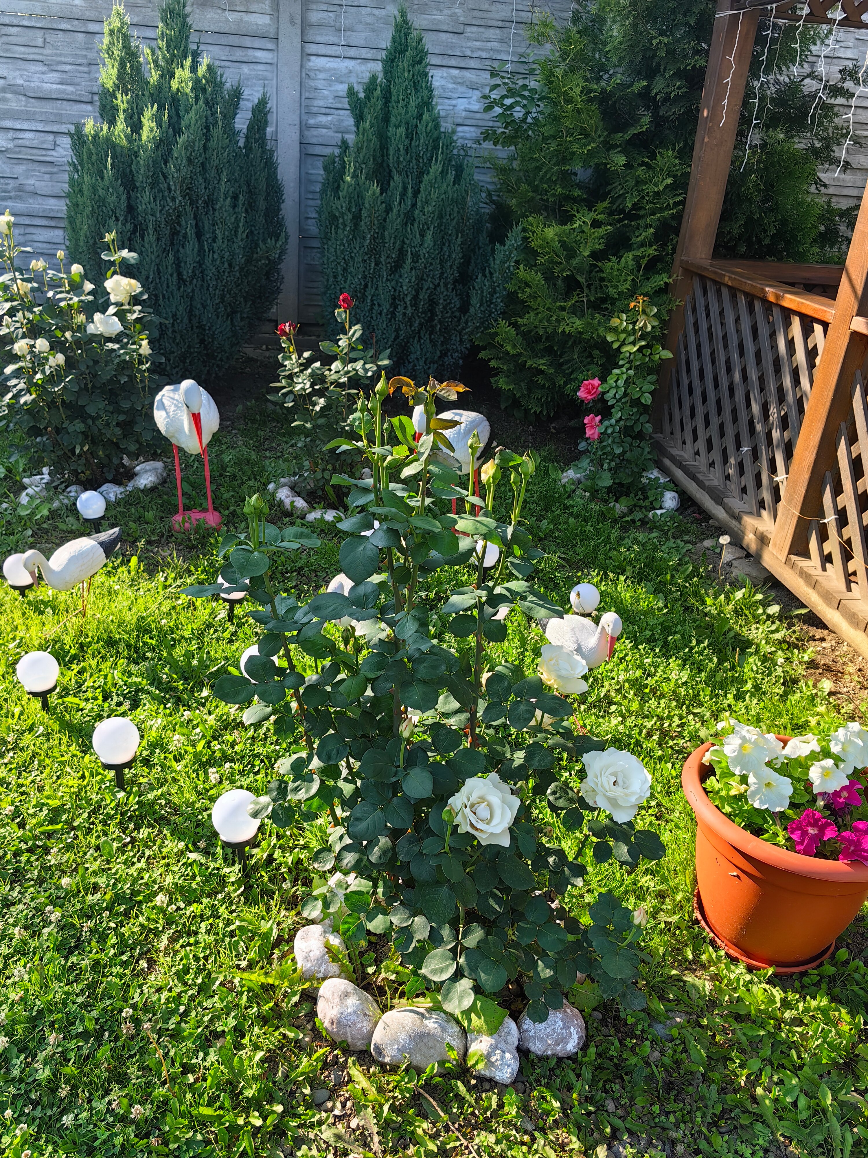 Фото Два Брата