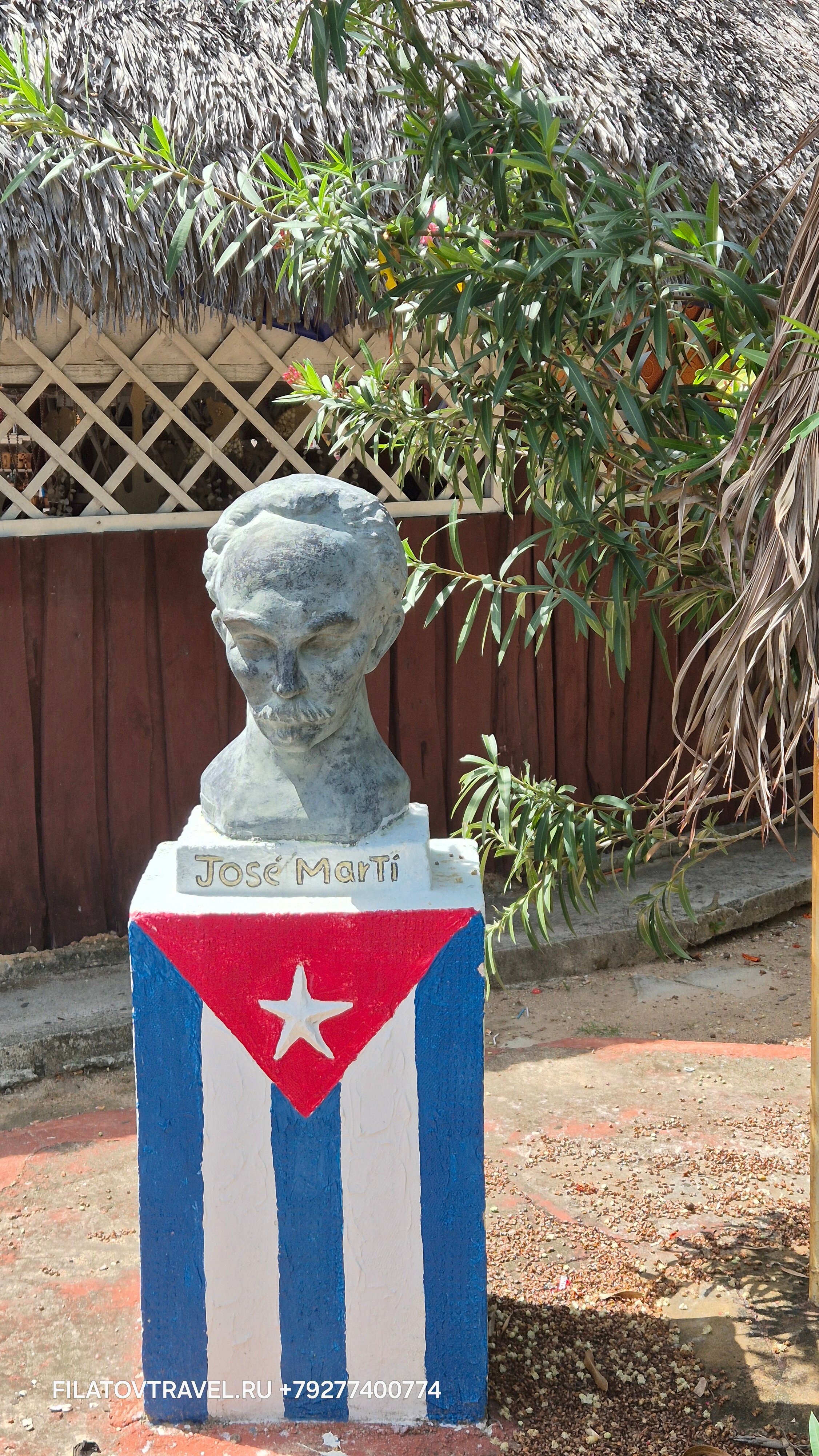 Фото Melia Las Americas