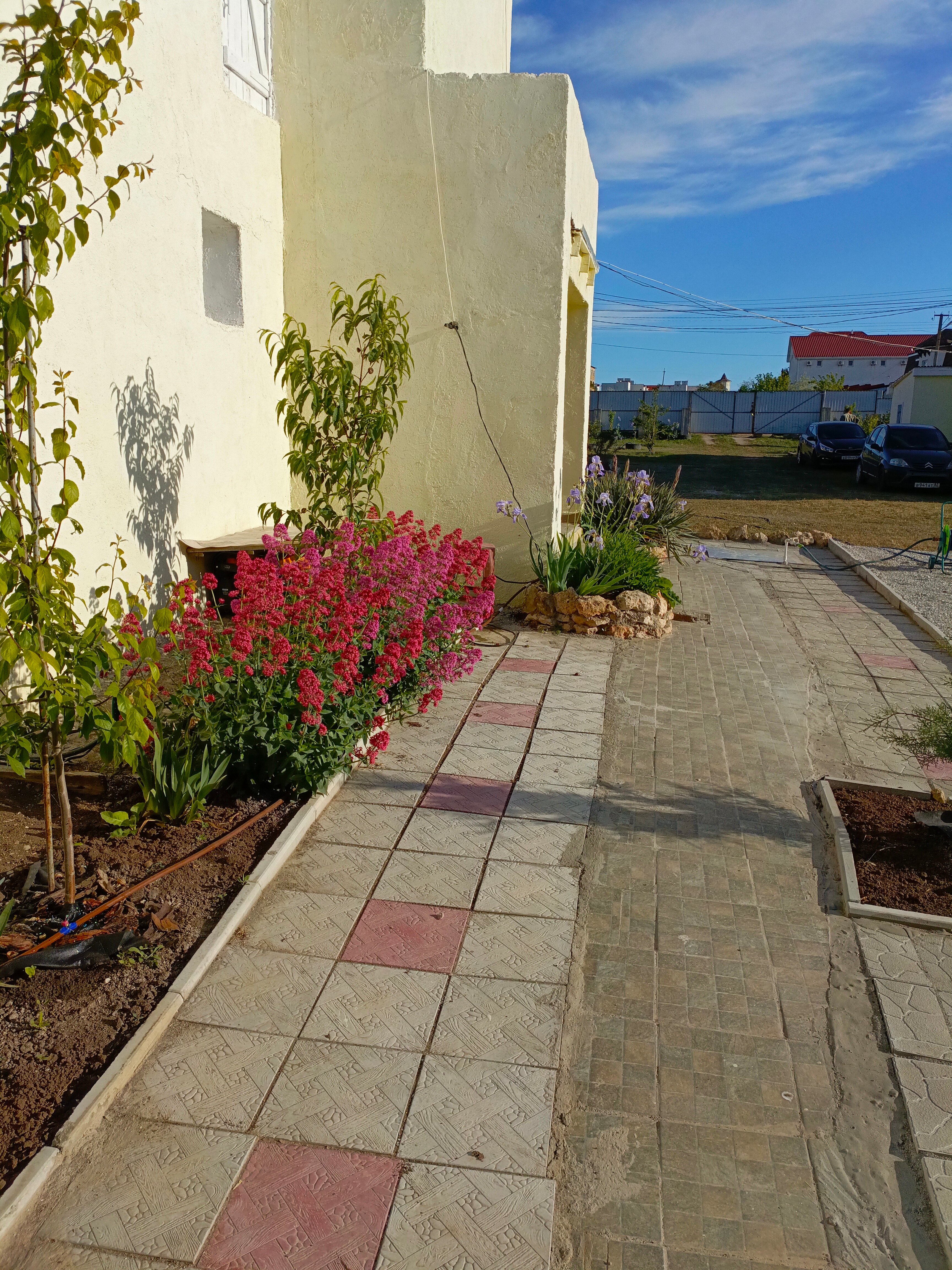 Фото Смайлик