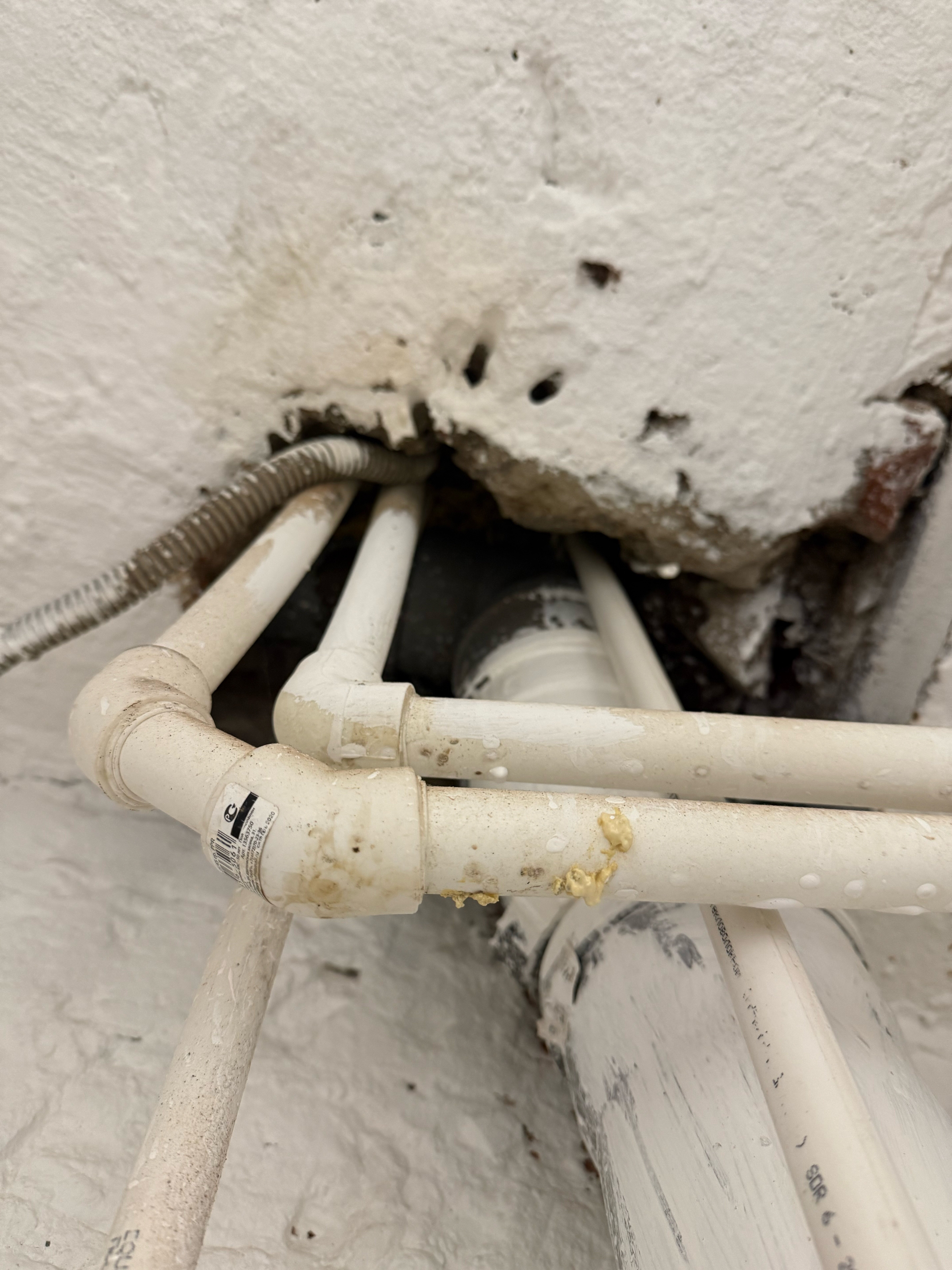 Фото ФлигелёкЪ