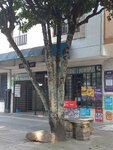 Shopping Play (Valle del Cauca, Municipio de Santiago de Cali, Carrera 3, 45A-26), internet cafe