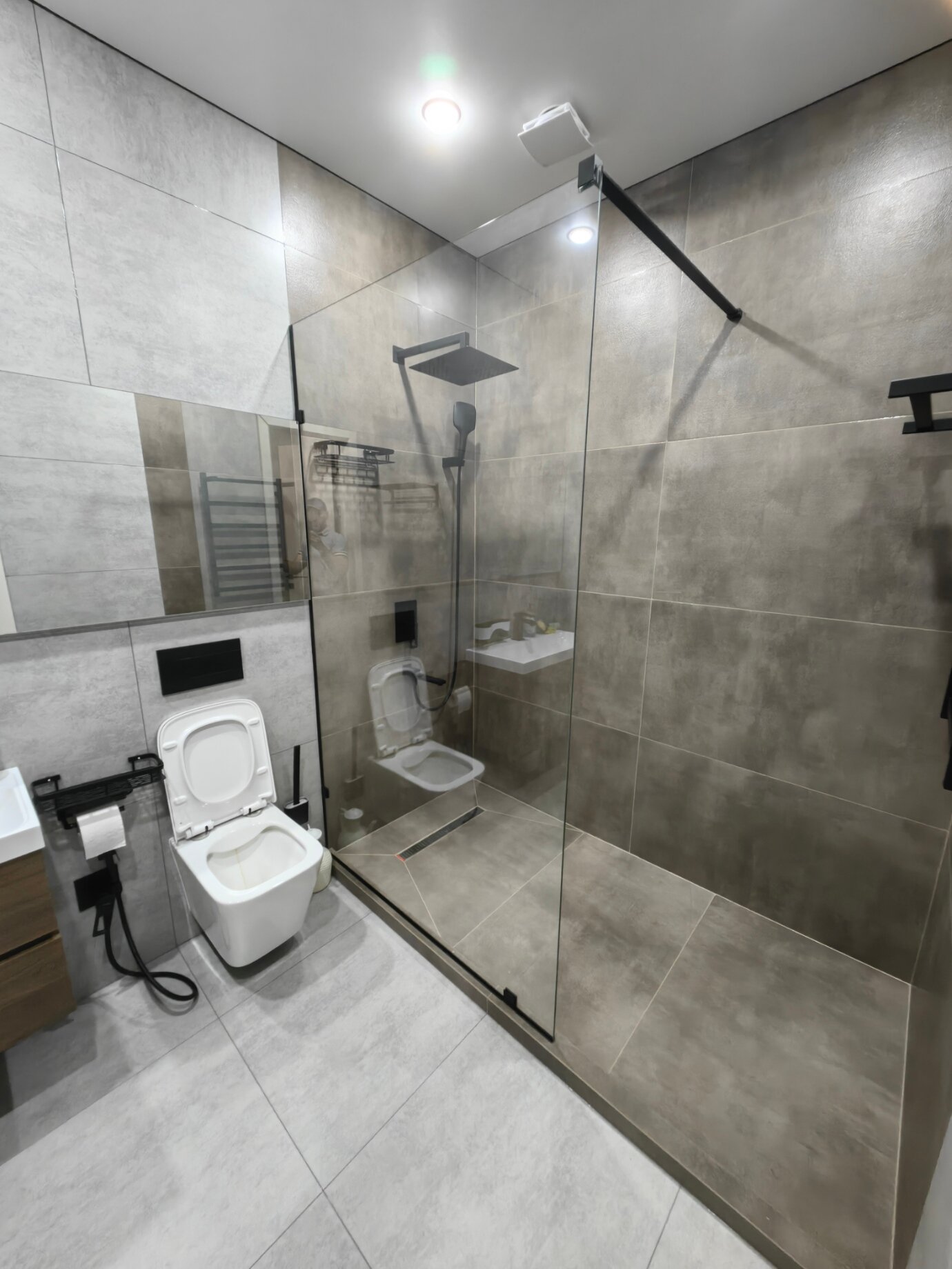 Фото Павлония