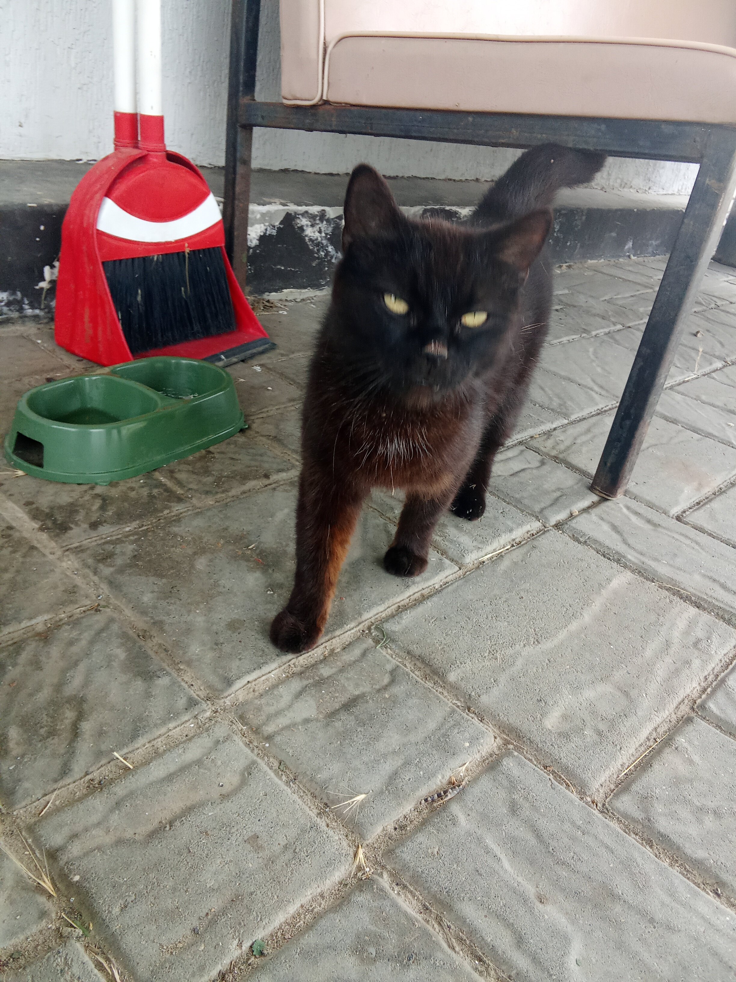 Фото Gh Kanukova 3