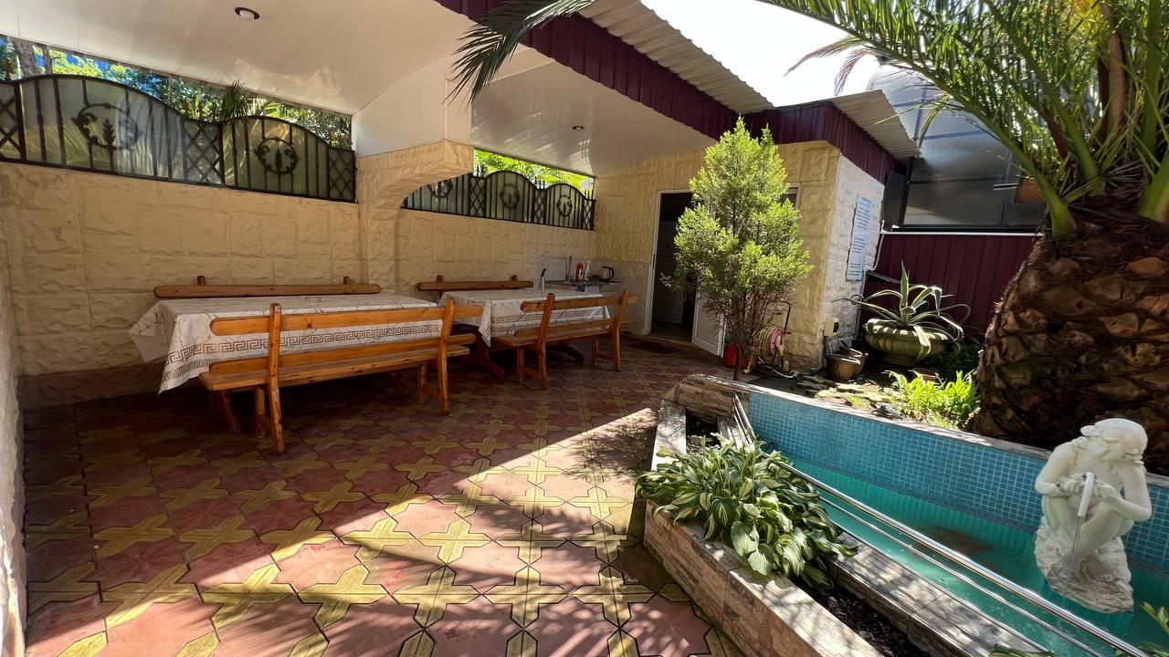 Фото Камелия