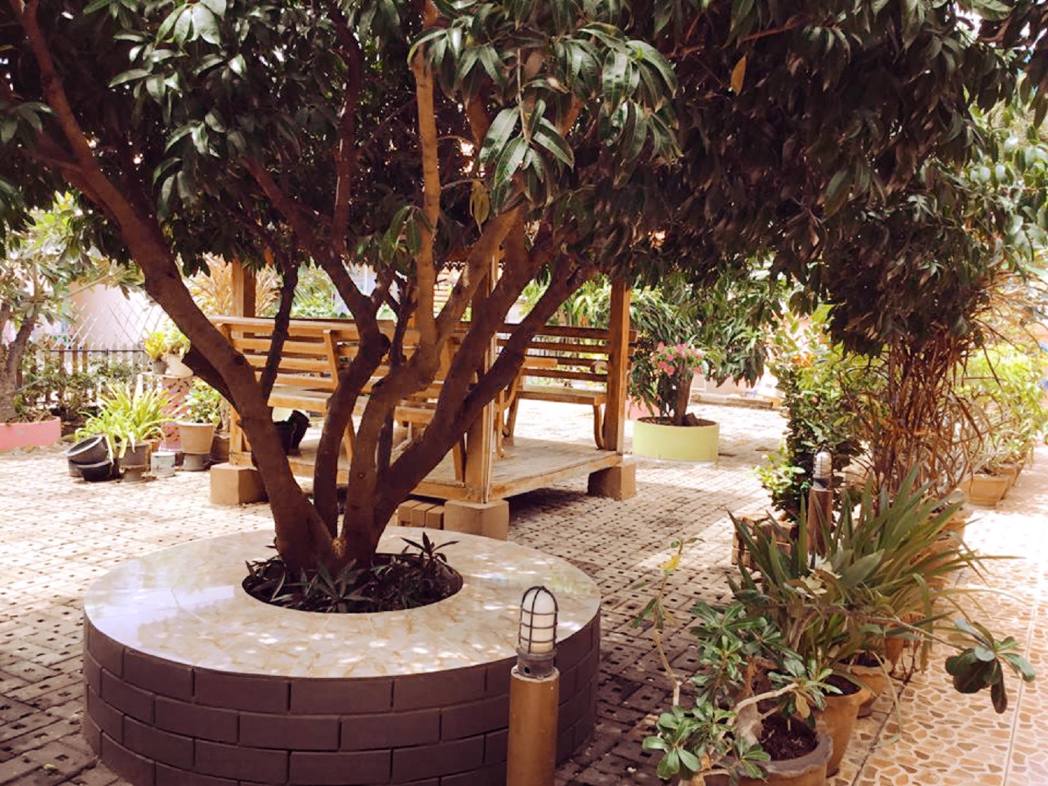 Фото My Home Guest House