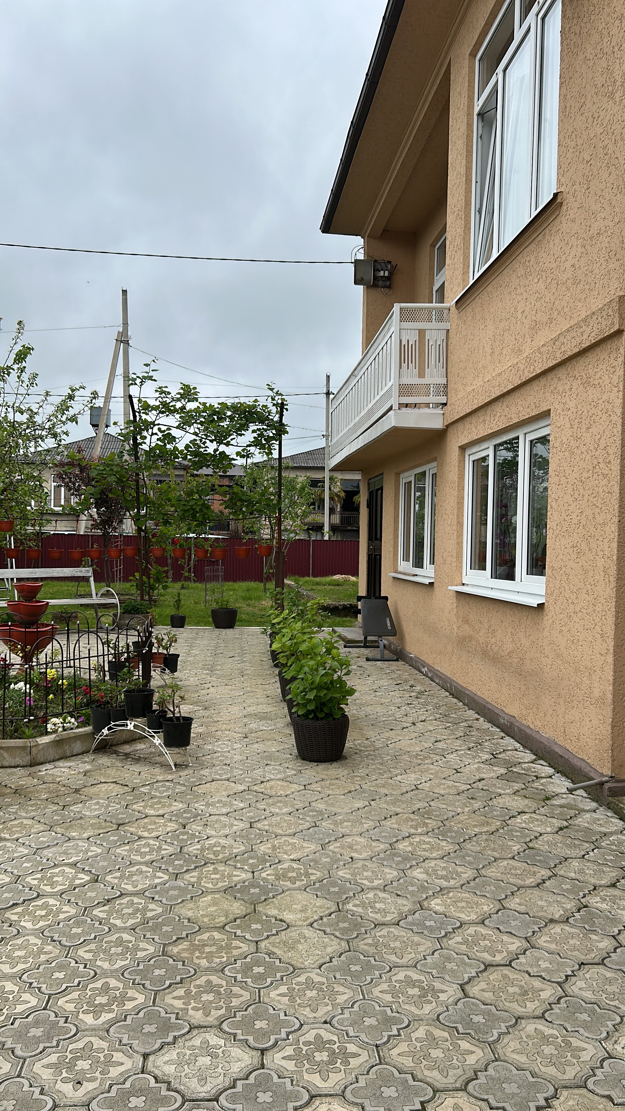 Фото Орхидея