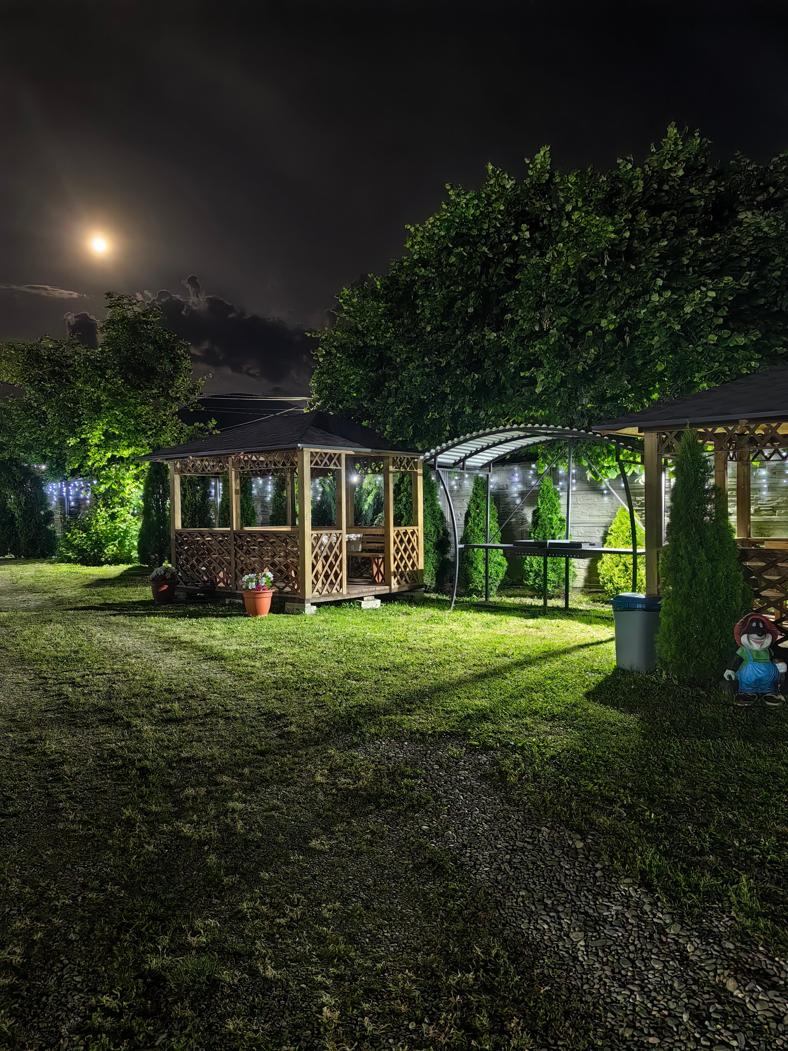 Фото Два Брата