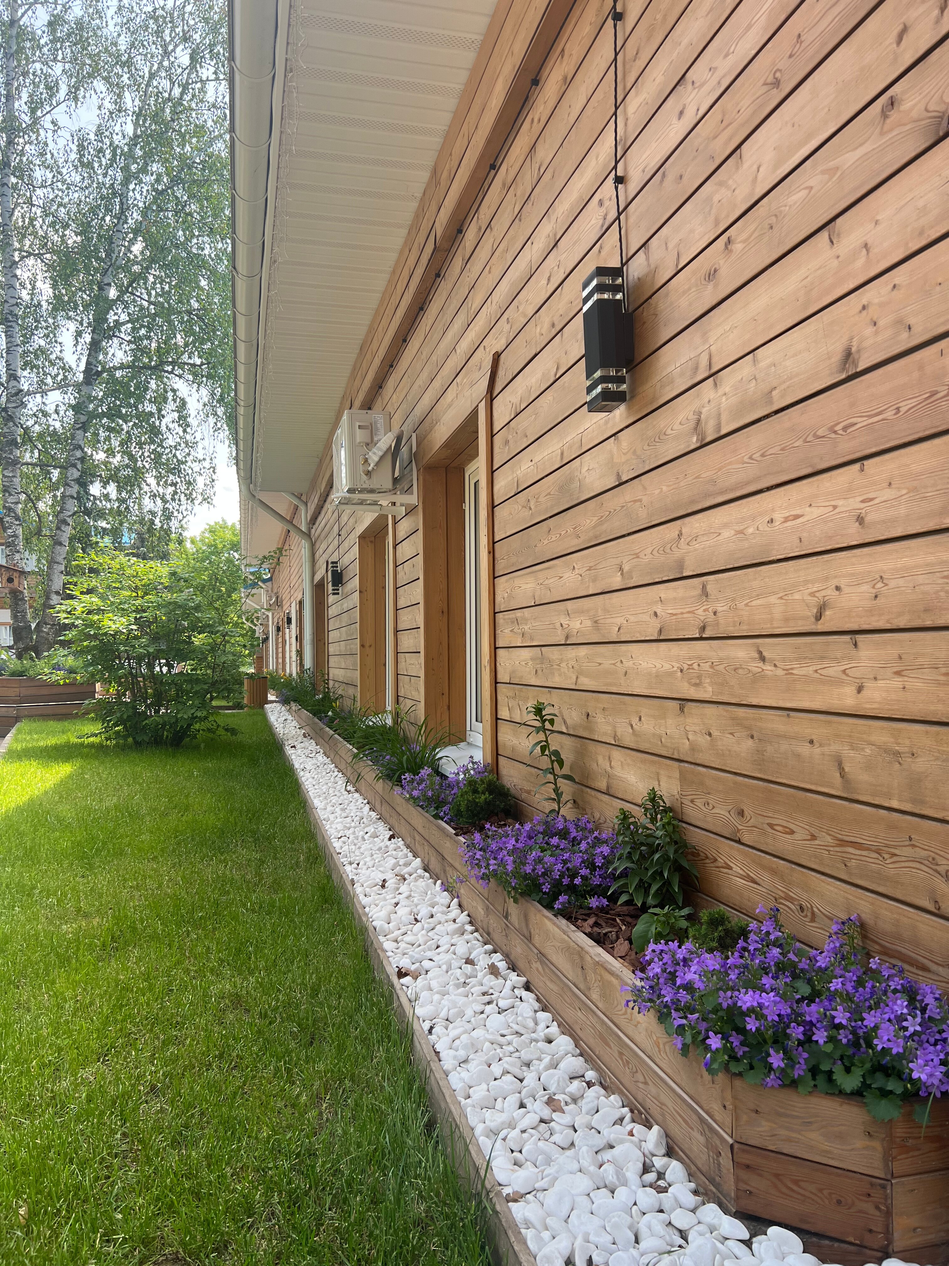 Фото Лесная опушка