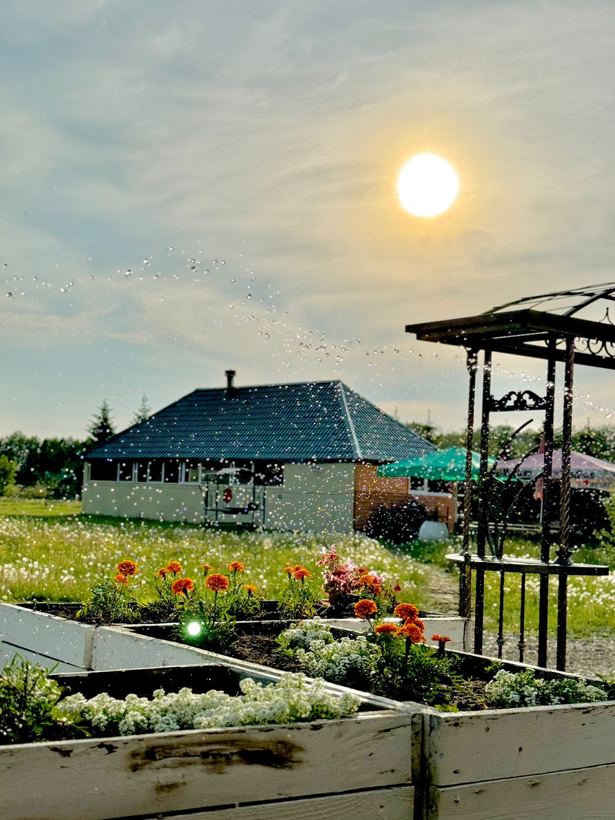 Фото Эль ранчо