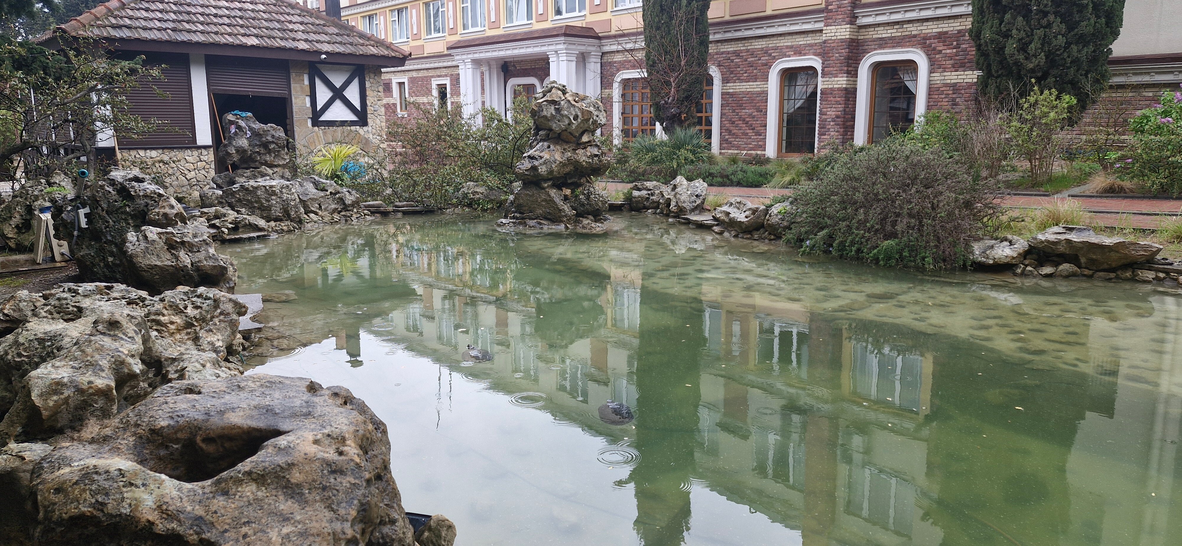 Фото Аквани