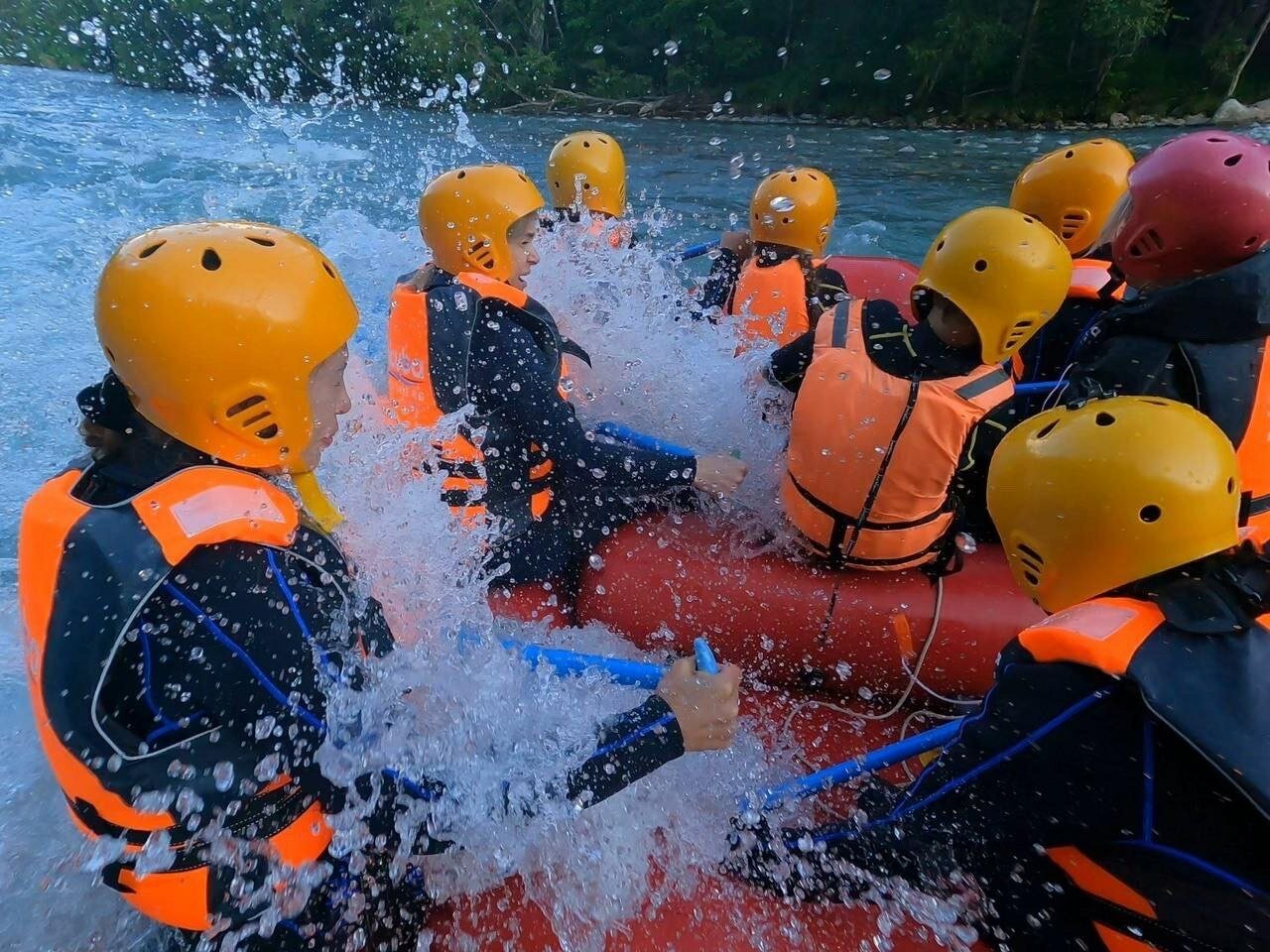 Фото Горная Мята